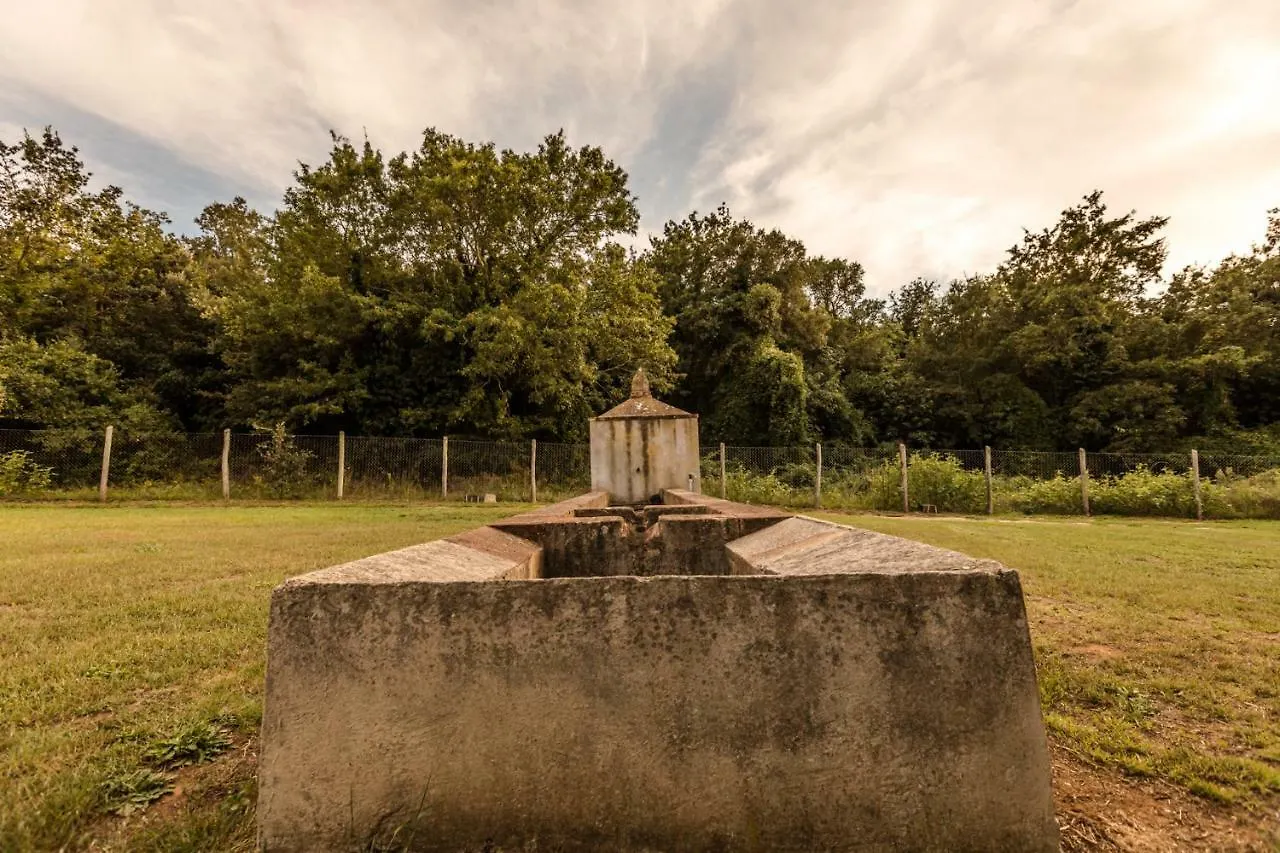 Casa vacanze Podere San Niccola Punta Ala