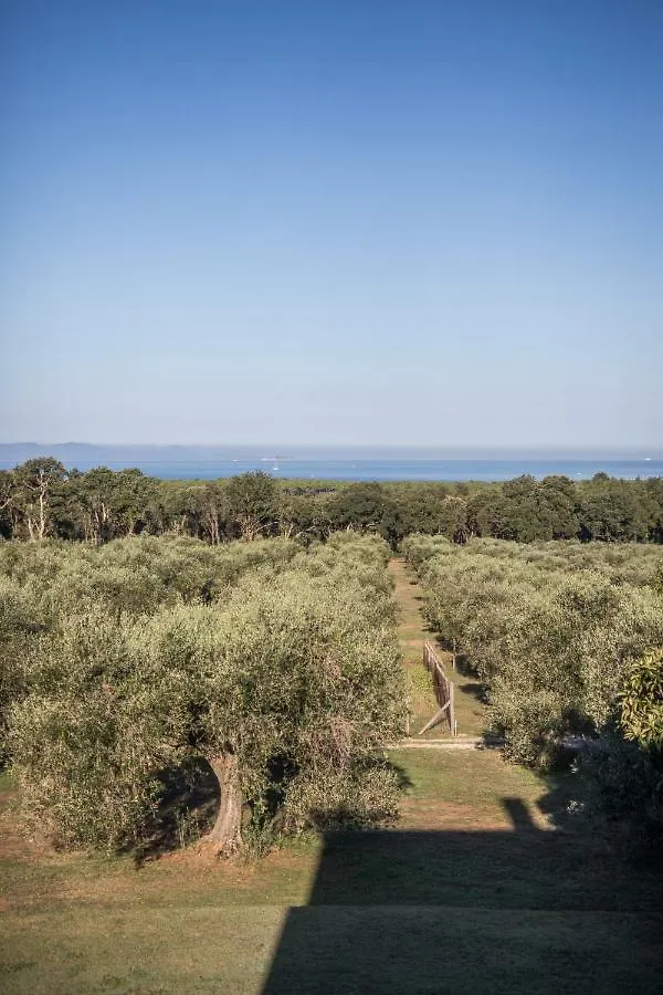 Podere San Niccola Punta Ala 0*,